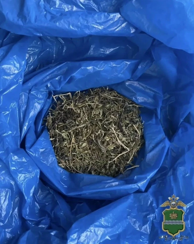 🚓 Двоих задержали с марихуаной в Кировском районе    Полиция Кировского района задержала двоих местн