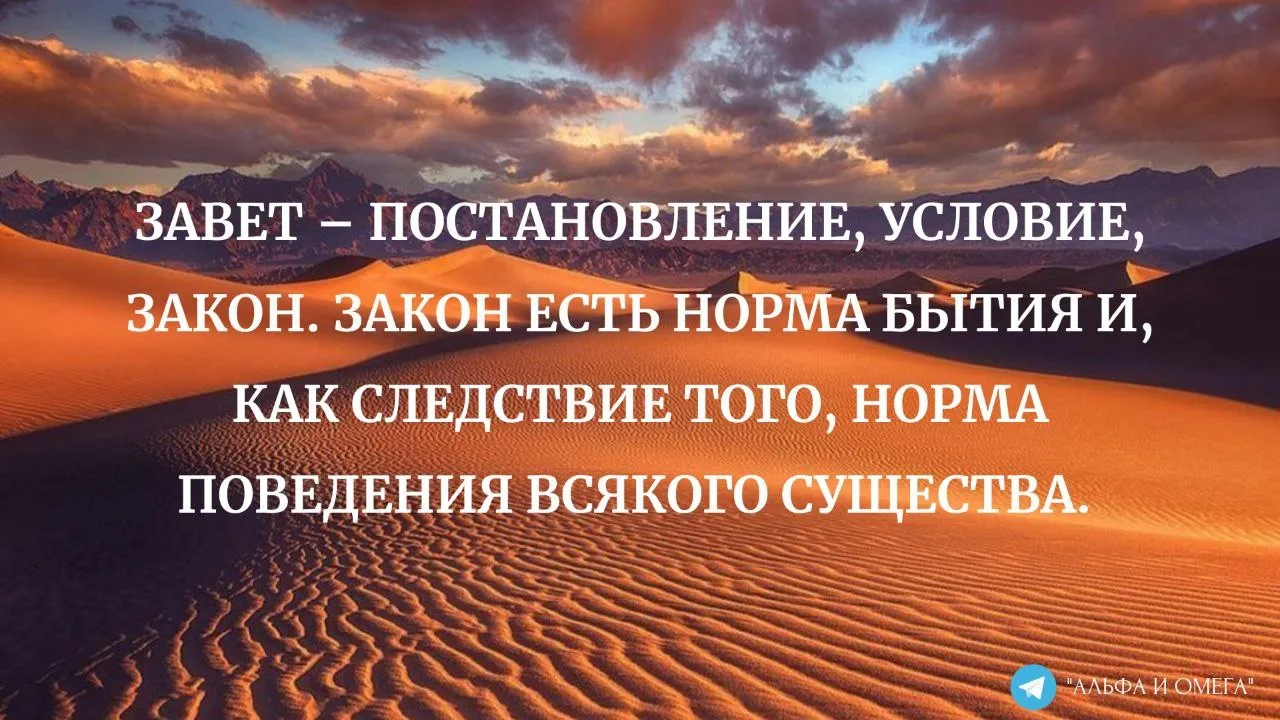 Грехопадение человека: от замысла Божьего к нарушению завета 📖🕊