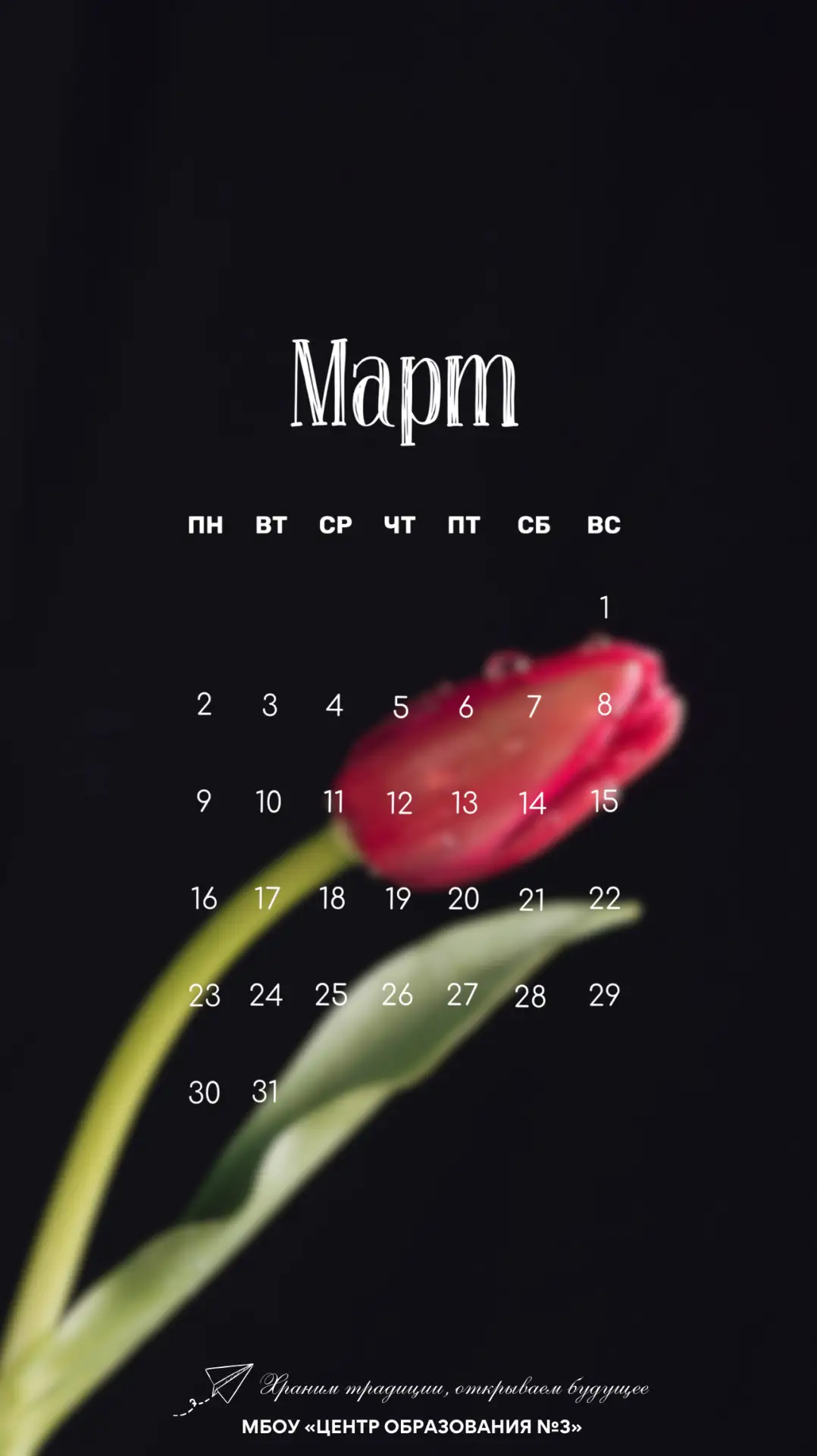 🌱 1 марта = новый лист календаря Впустите весну в свой телефон! Мы подготовили для вас нежные застав