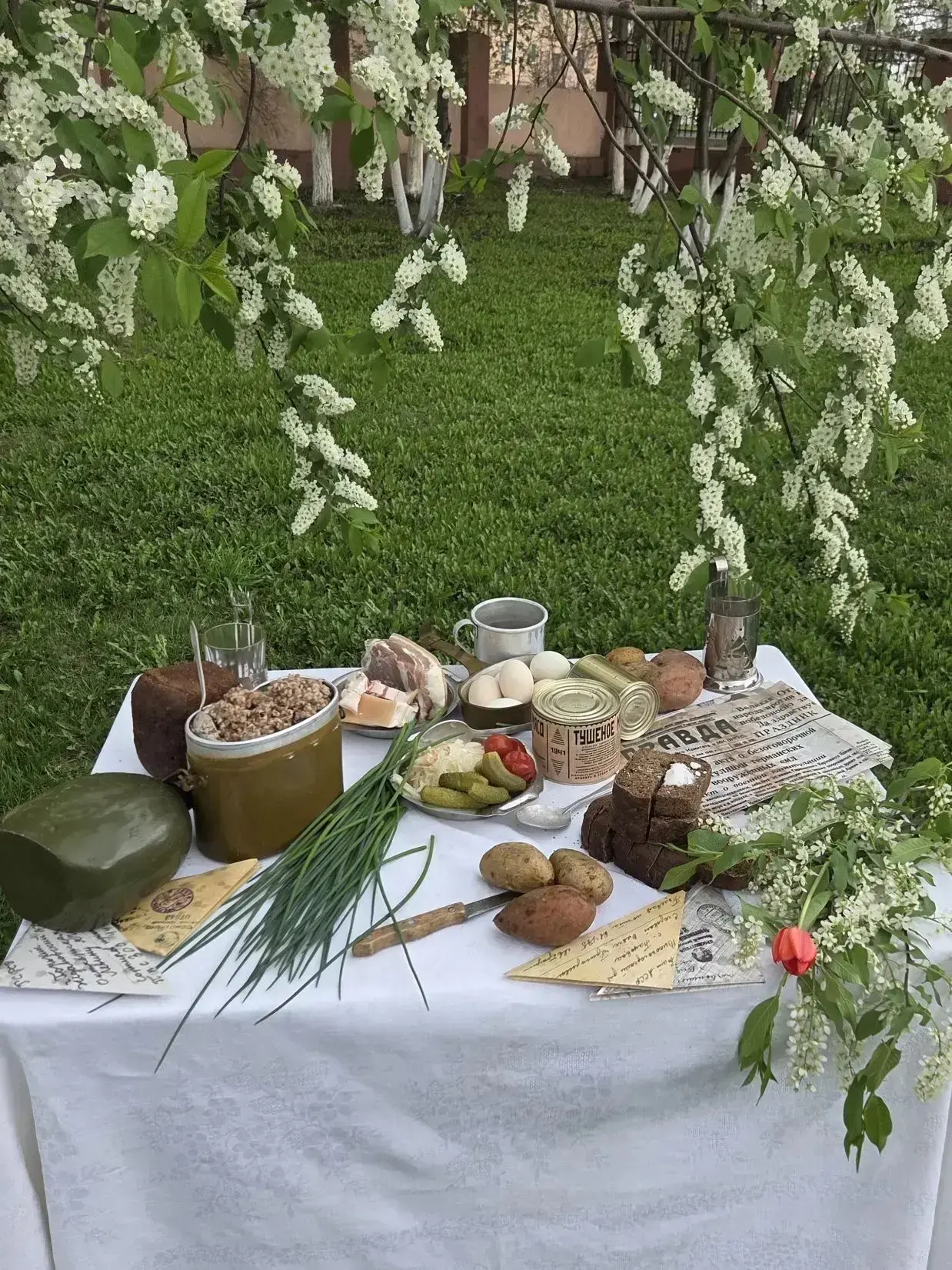 Полевая кухня: вкус Великой Победы! 🎖️ 🍎