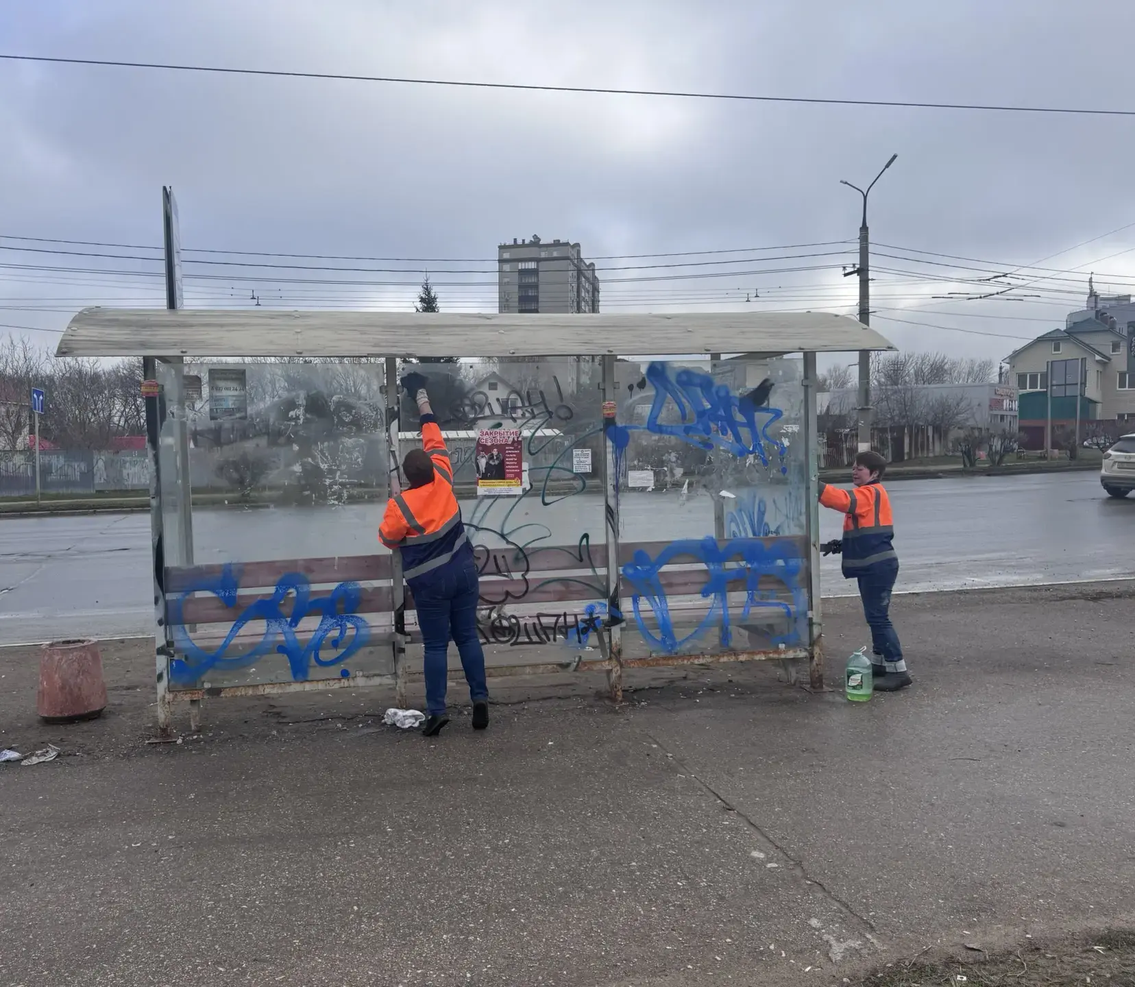 ☔ Дождь или ветер — город всё равно становится красивее и чище!