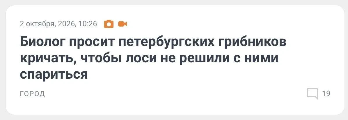 Из леса то и дело раздавались предупредительные крики, плавно переходящие в потерпевшие
