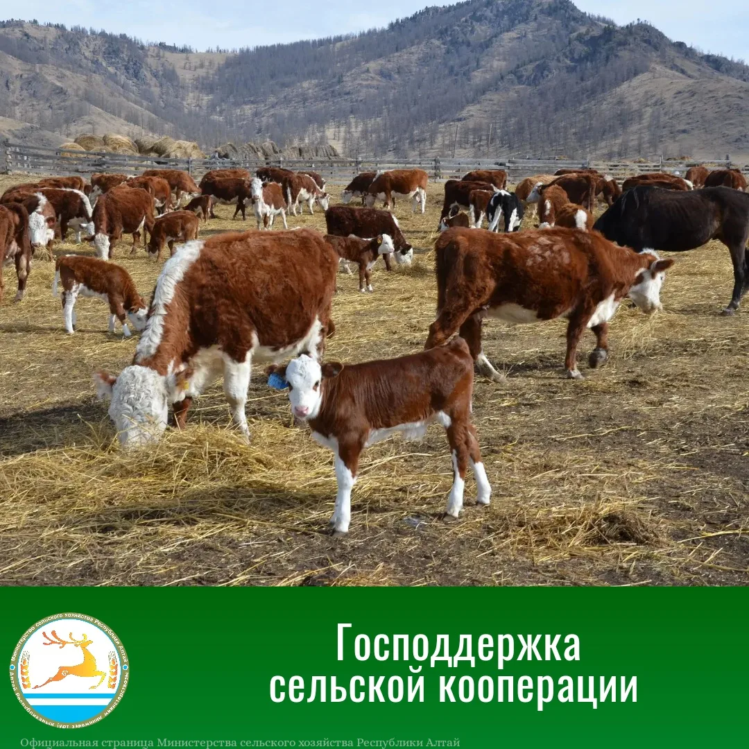 ⚡Объявляем о старте конкурсного отбора на возмещение части затрат для сельскохозяйствен...