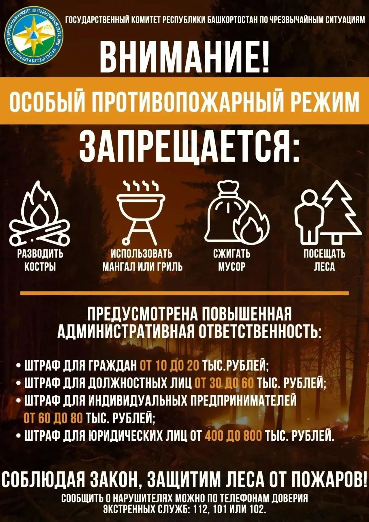 Майские праздники: отдыхаем безопасно! 🌳🚫🔥
