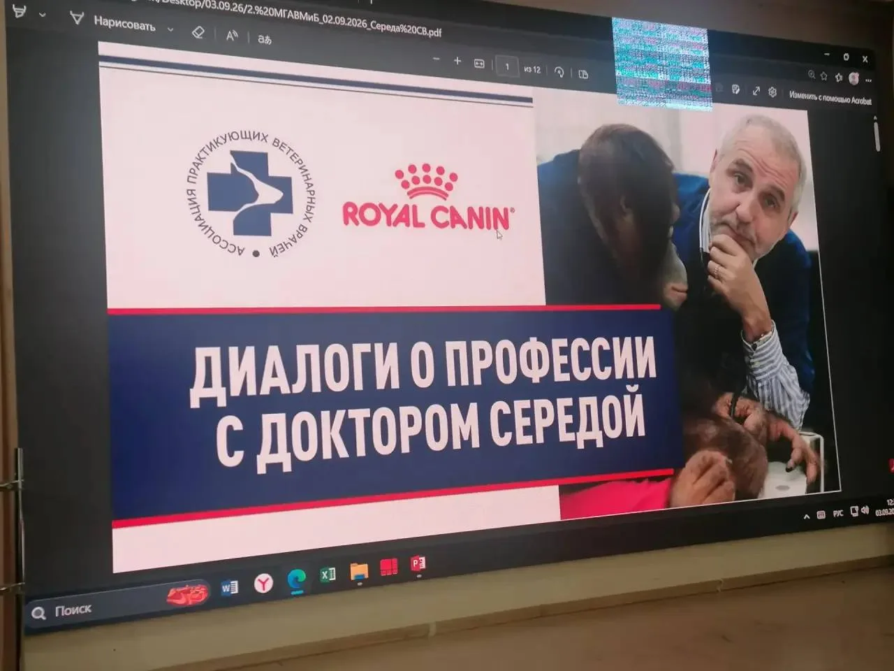 🎙 Диалоги о профессии с доктором Середой
