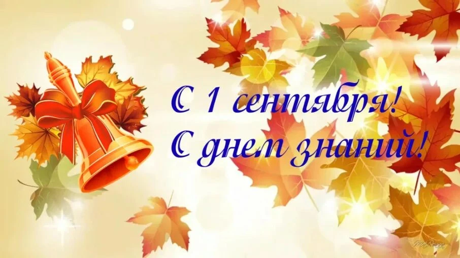 С началом нового учебного года! 🎉