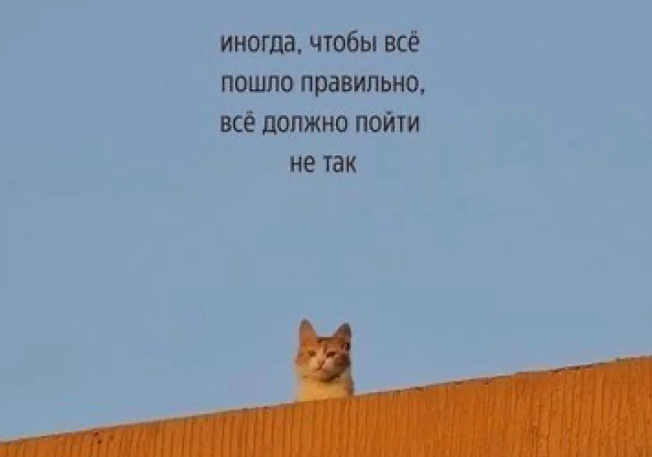 Вам не нужен новый знак. Вам нужен позвоночник…

Самый популярный миф в эзотерике звучит так: “Попро