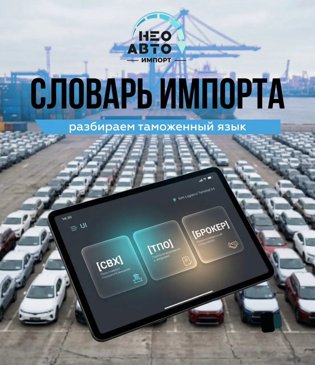 Переводим таможенный язык на понятный ⬇️