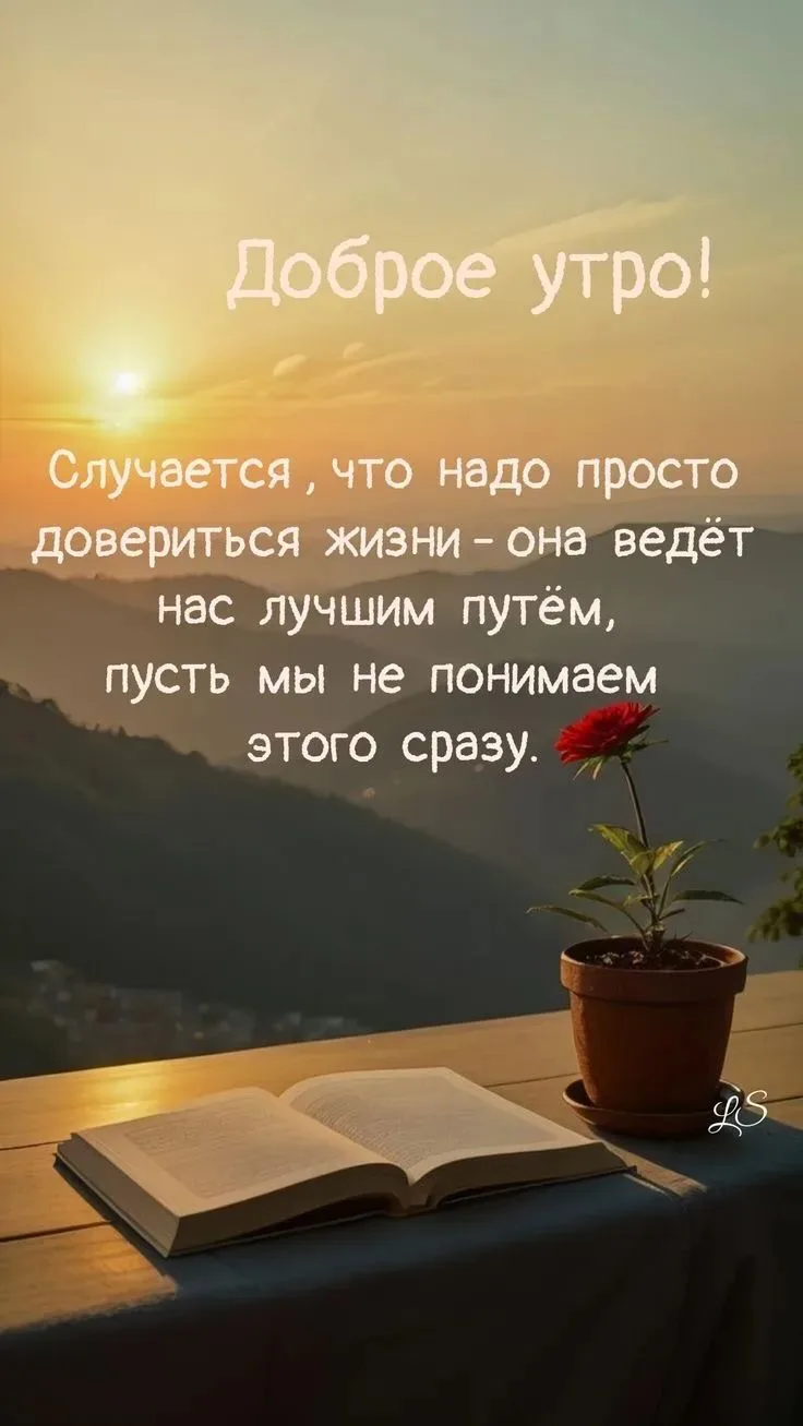 Доброе утро 🌸