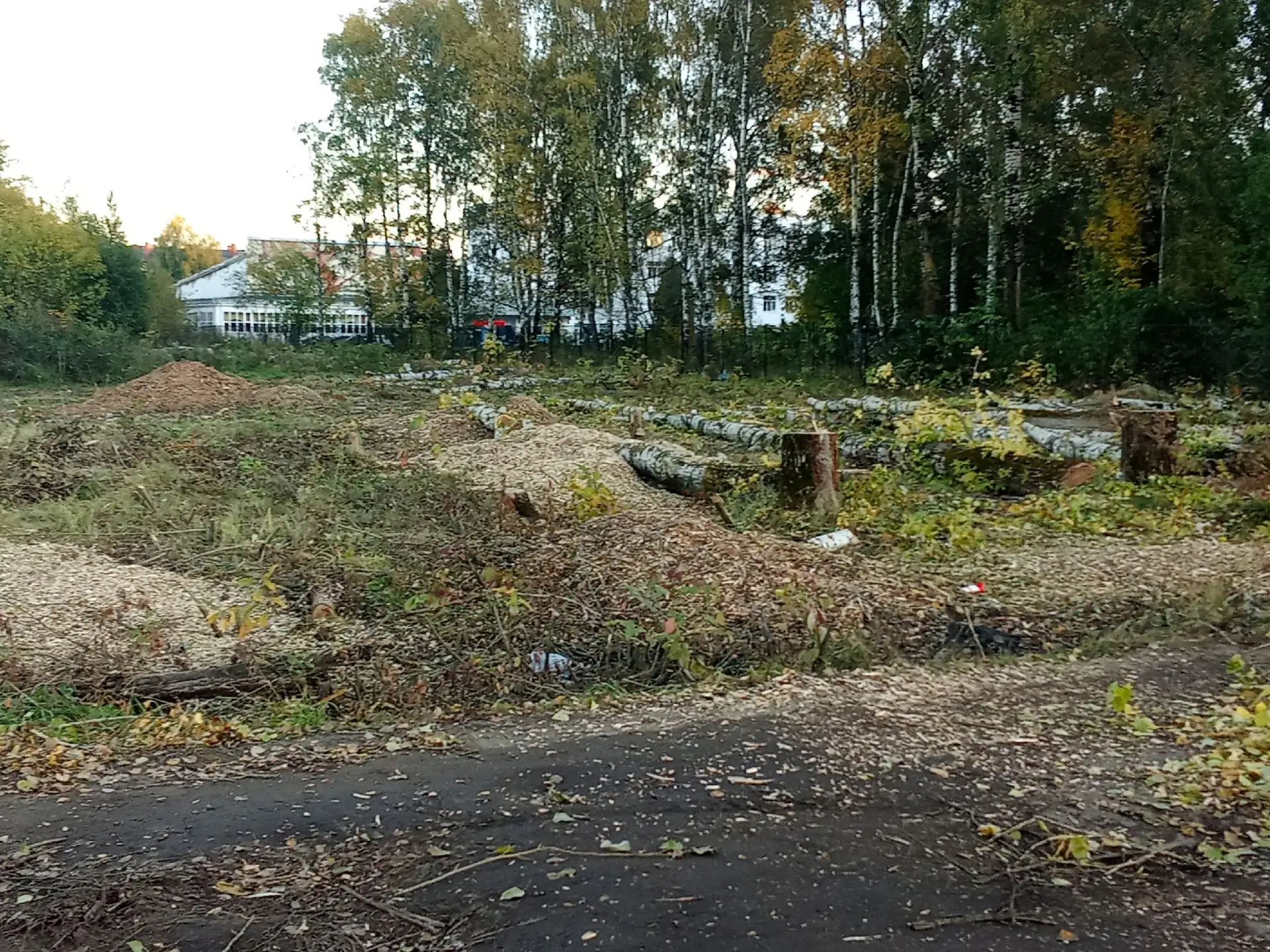 Идёт подготовка к строительству термального комплекса.