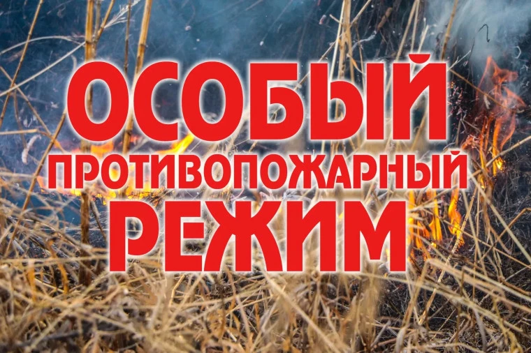 ВНИМАНИЕ!!!!

С 10 апреля по 10 июня 2026 года в Омске и южных районах Омской области действует особ