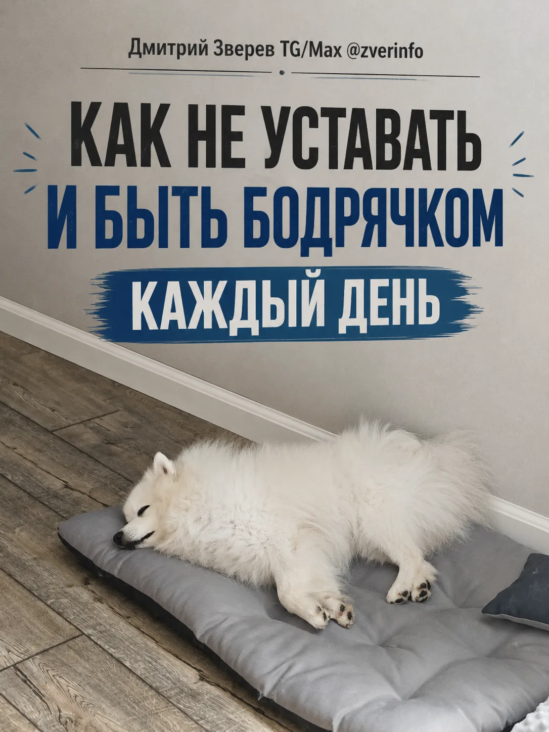 🫣 Два-три раза в день в любую погоду...
