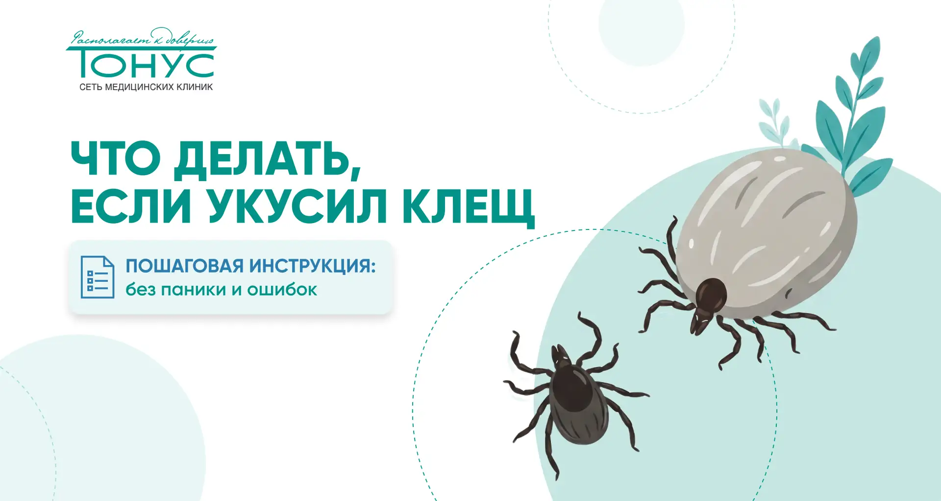 🪲 С наступлением тепла начинается и сезон клещей