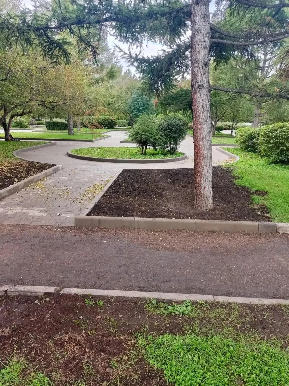 🌳 Пешеходную дорожку в сквере Космонавтов сместили ради дерева