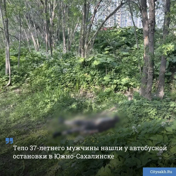🚨 В Южно-Сахалинске нашли тело мужчины рядом с автобусной остановкой. Следователи выяснят, от чего 