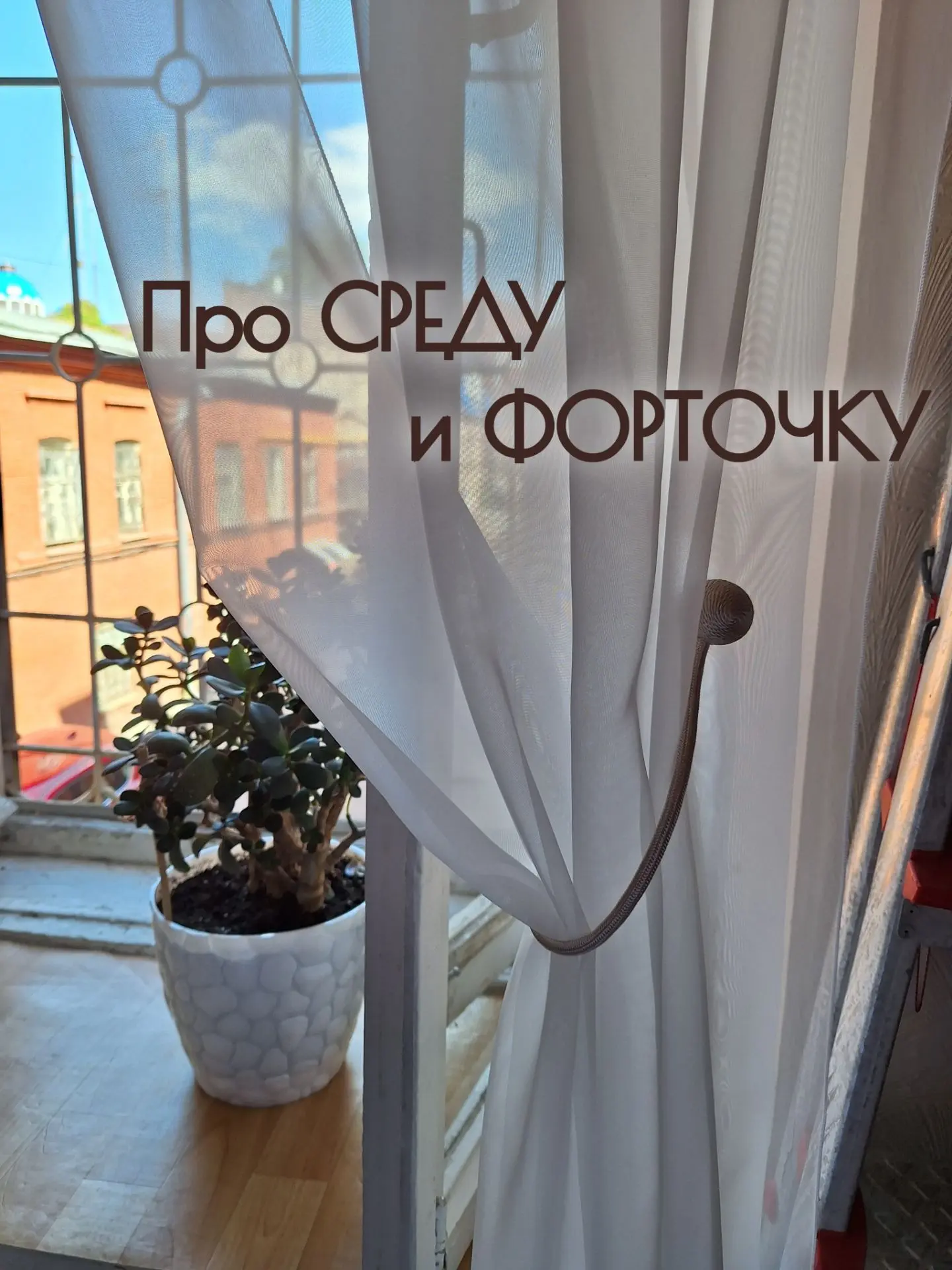 ПРО СРЕДУ И "ФОРТОЧКУ"