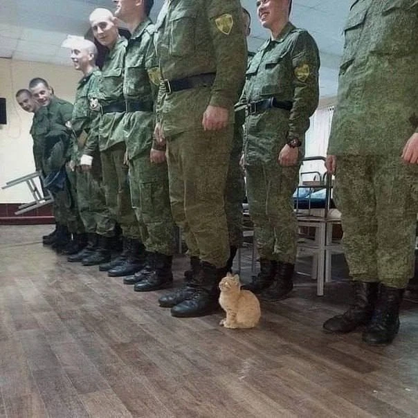 Равняйсь, смирно!