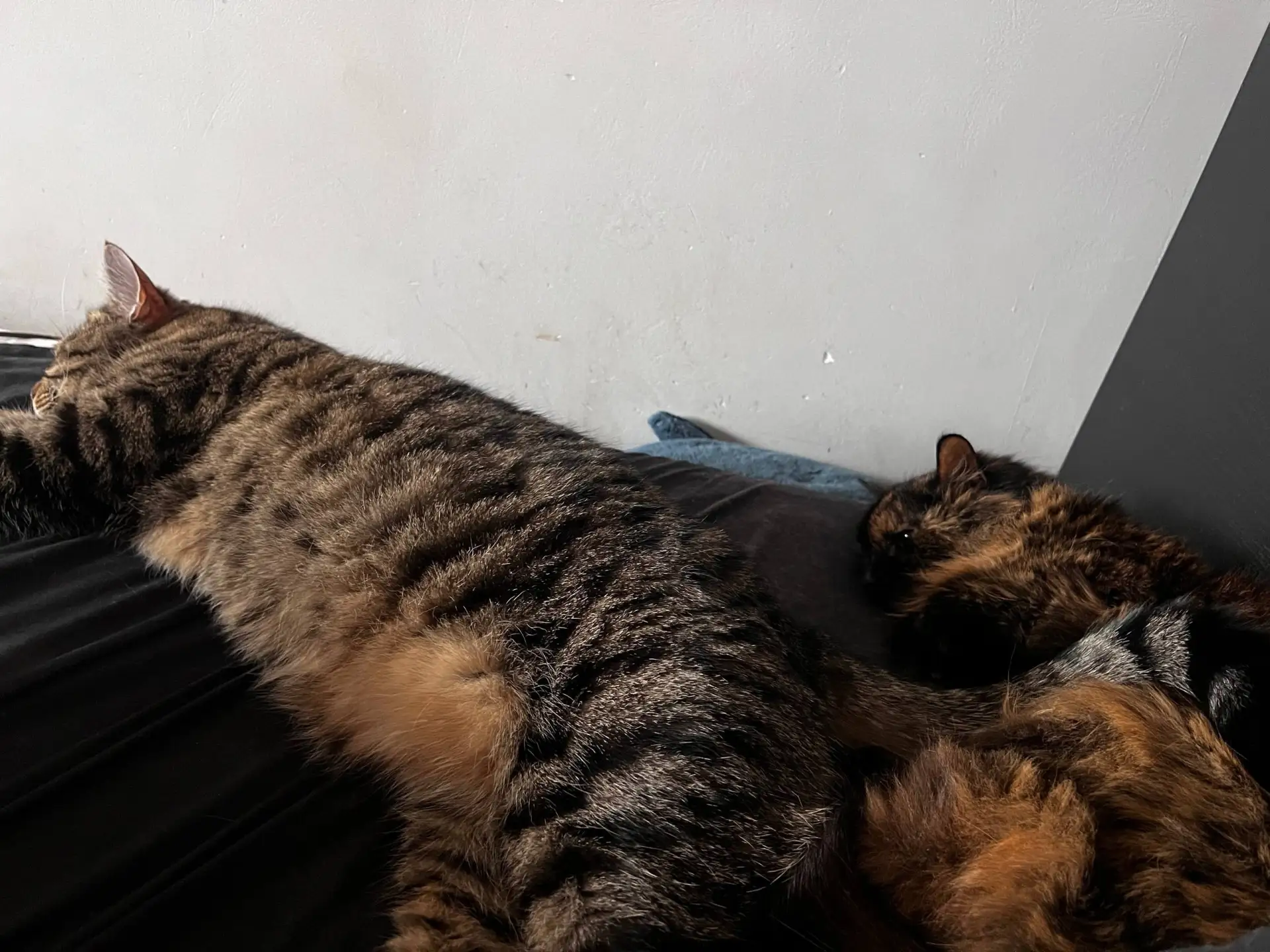 #из_нового_дома