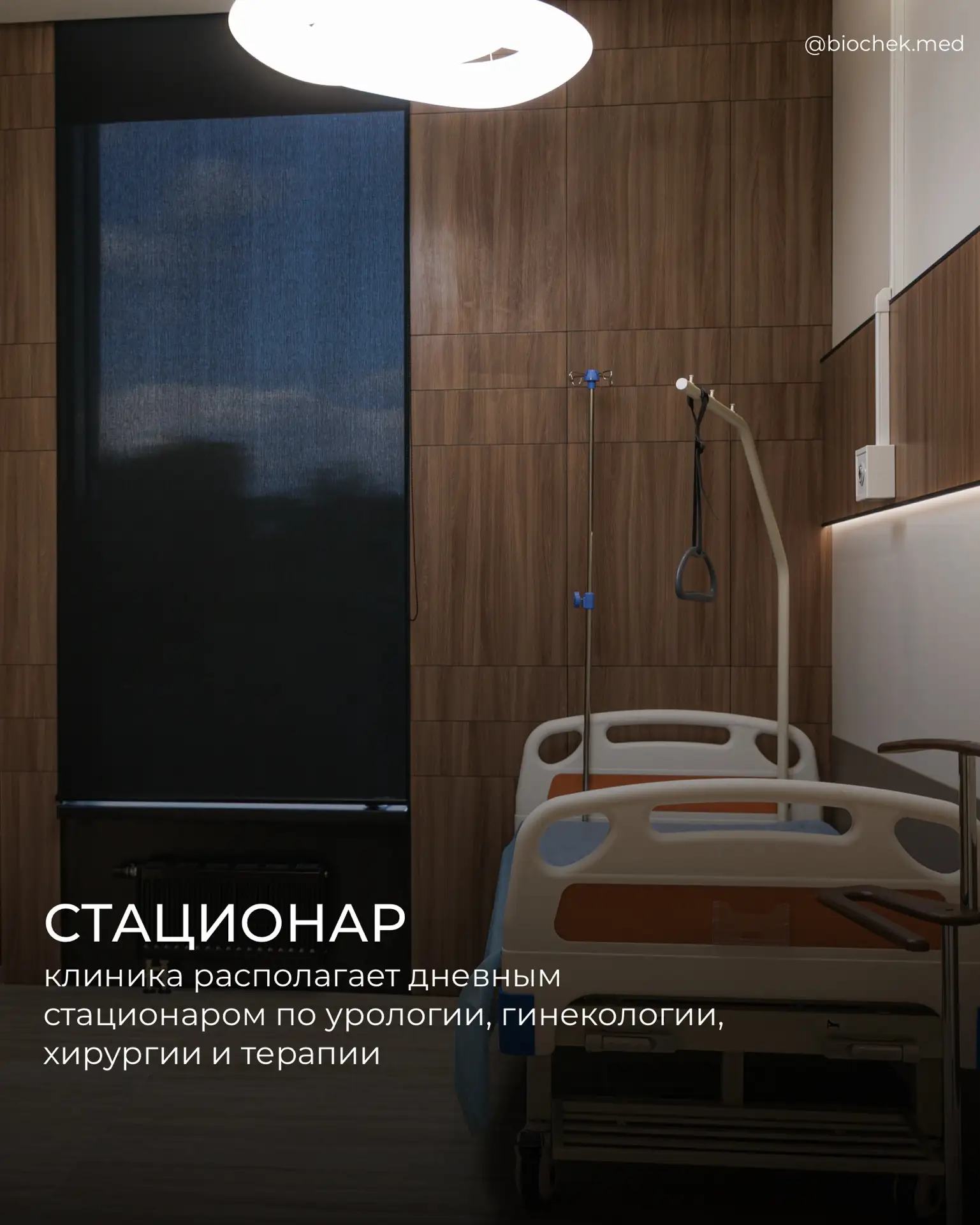 Изображение 7 к публикации «Александр Дзидзария»