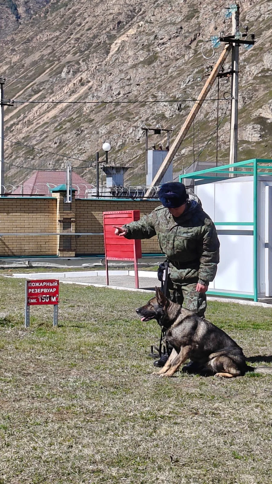 Сегодня наши «Первые» вместе с наставниками Гочаевой Ю. Ю. и Абаевой Е. Д. побывали в гостях у погра
