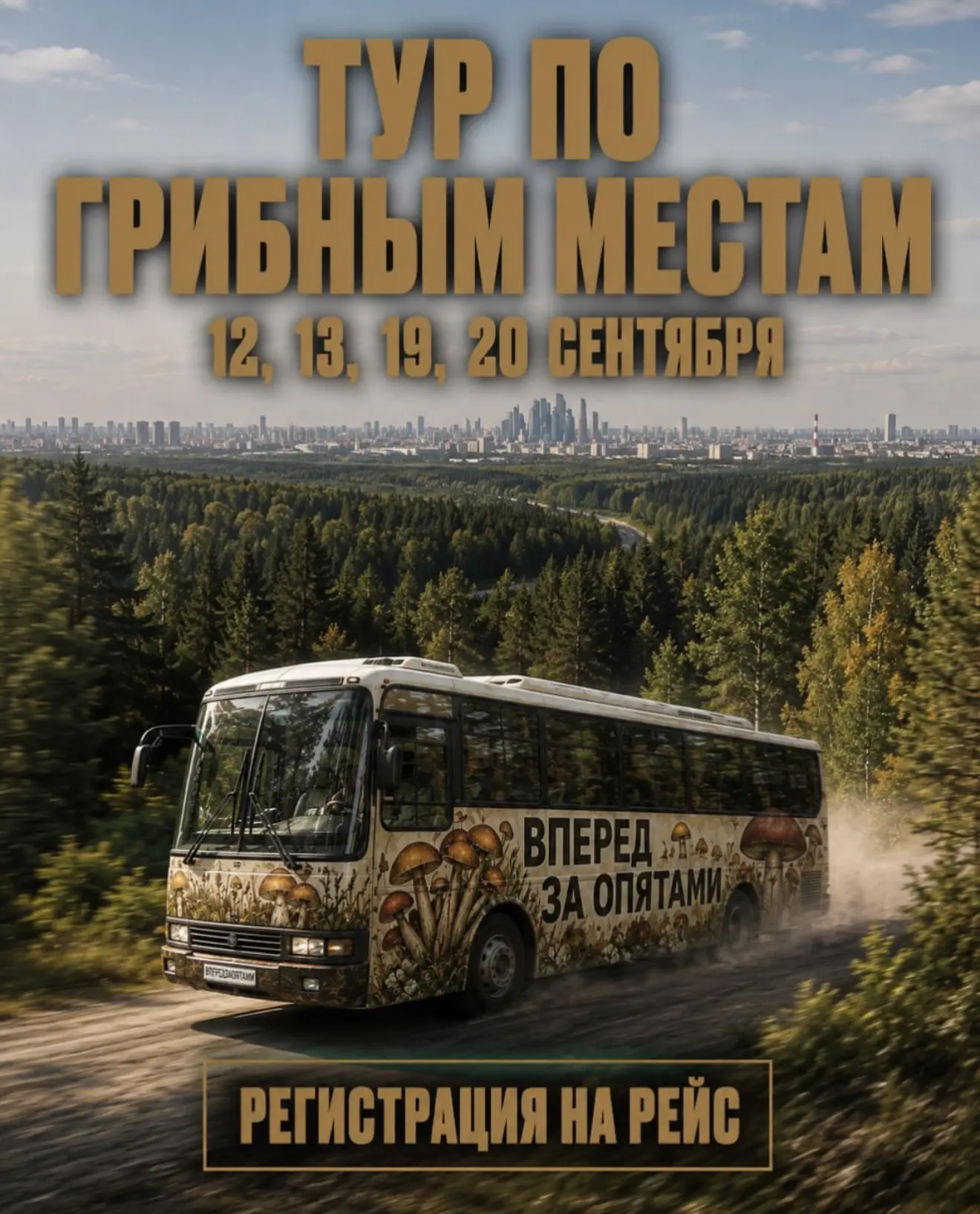 Мои рекомендации раньше: