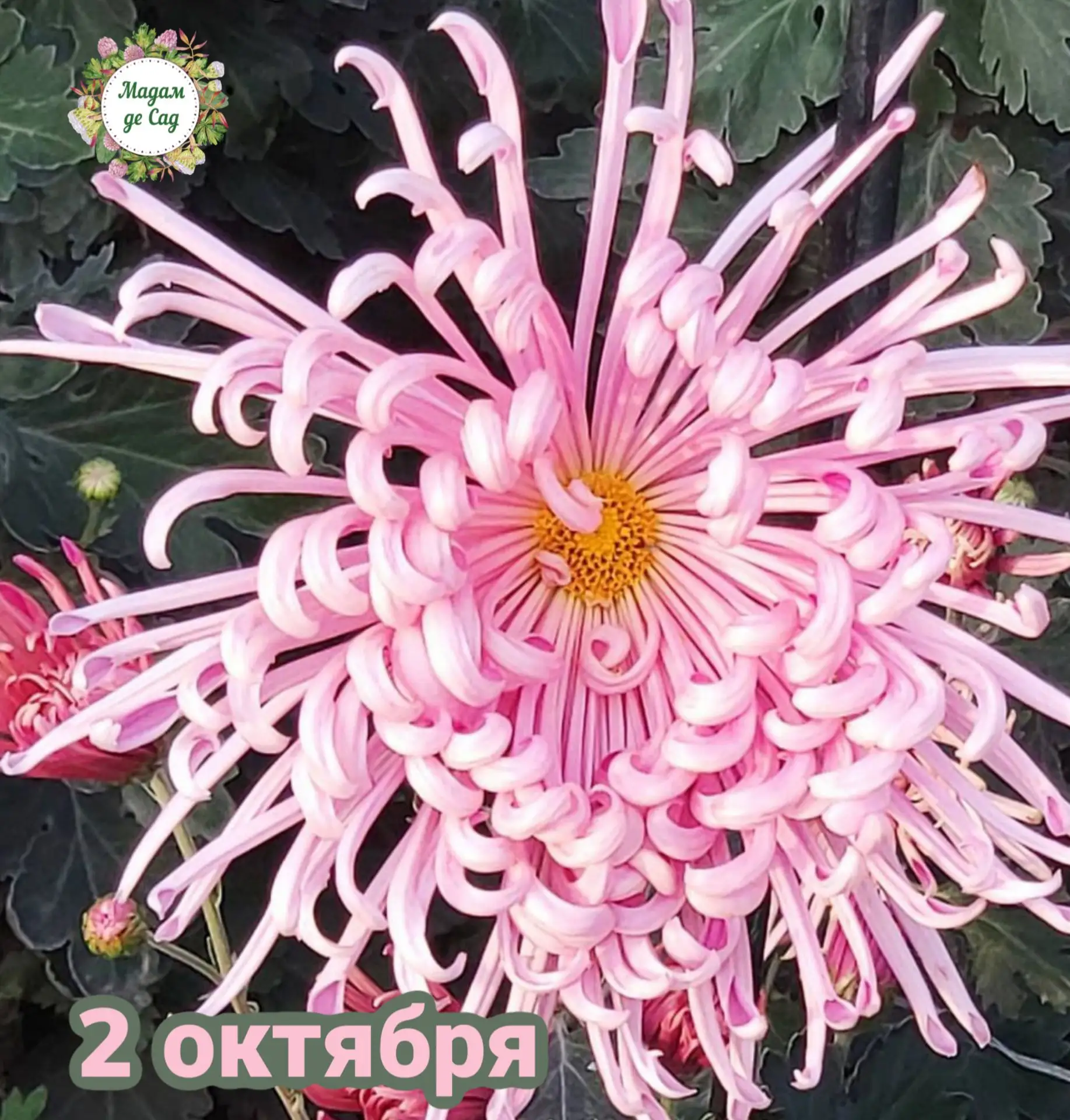 💕 Доброе утро!