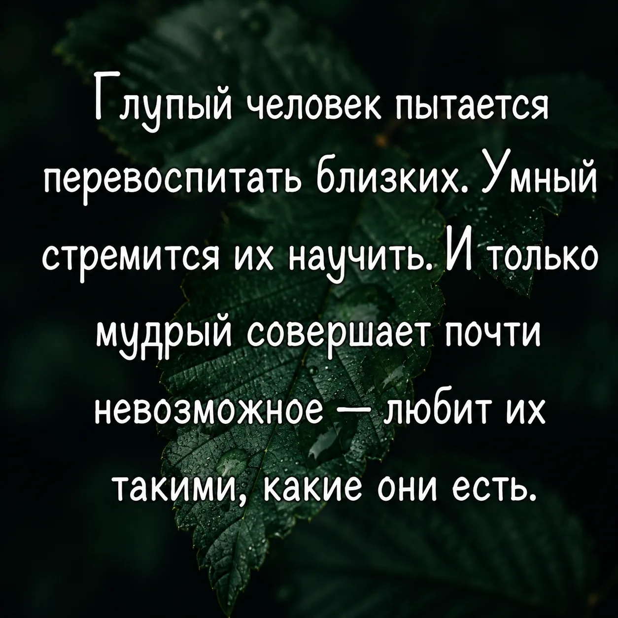 Оставьте любую реакцию 😊 Это лучшая благодарность для нас ❤️