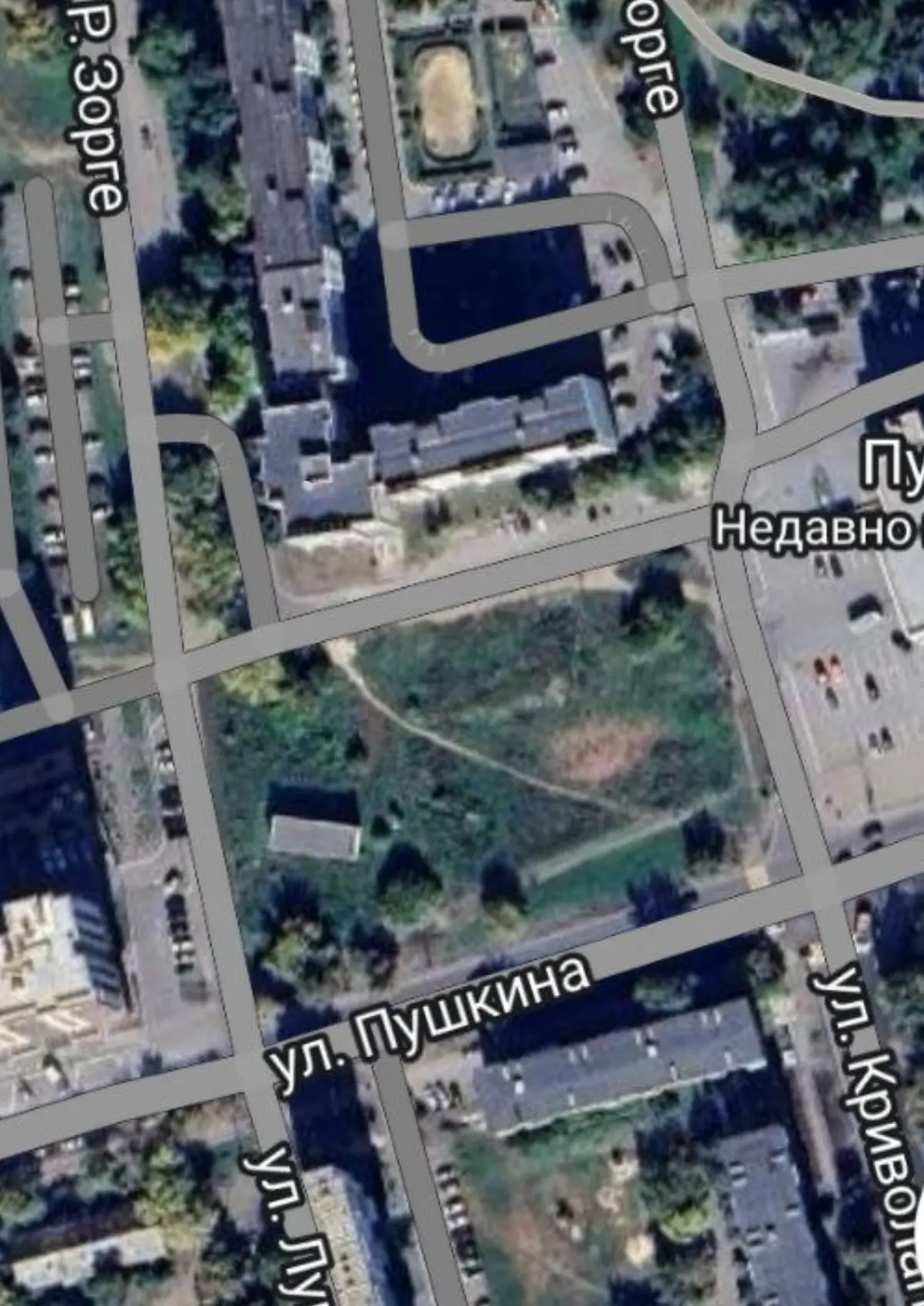 Жители Кургана предлагают построить на месте пустыря у Пушкинского собачий сквер