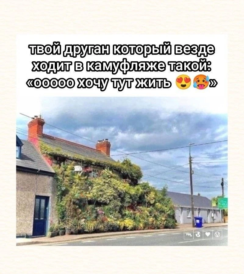 - Мужчины, которые ходят по городу в камуфляже, вы в курсе, что вас видно?