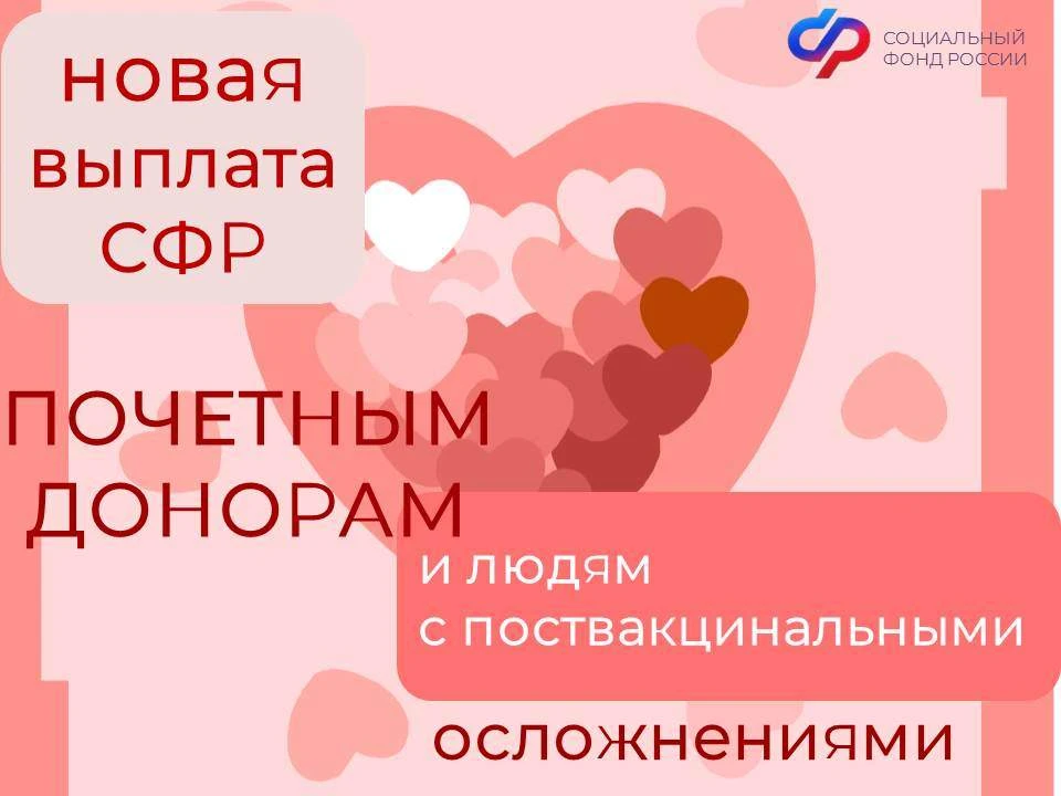 ❤️С 2027 года Отделение Соцфонда по Москве и Московской области начнет предоставлять вы...