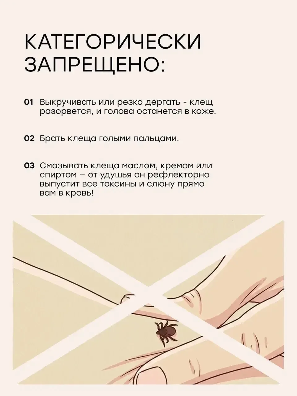 Что делать, если укусил клещ?

Ответ на этот вопрос вы найдете в карточках.

Смотрите, листайте, зап