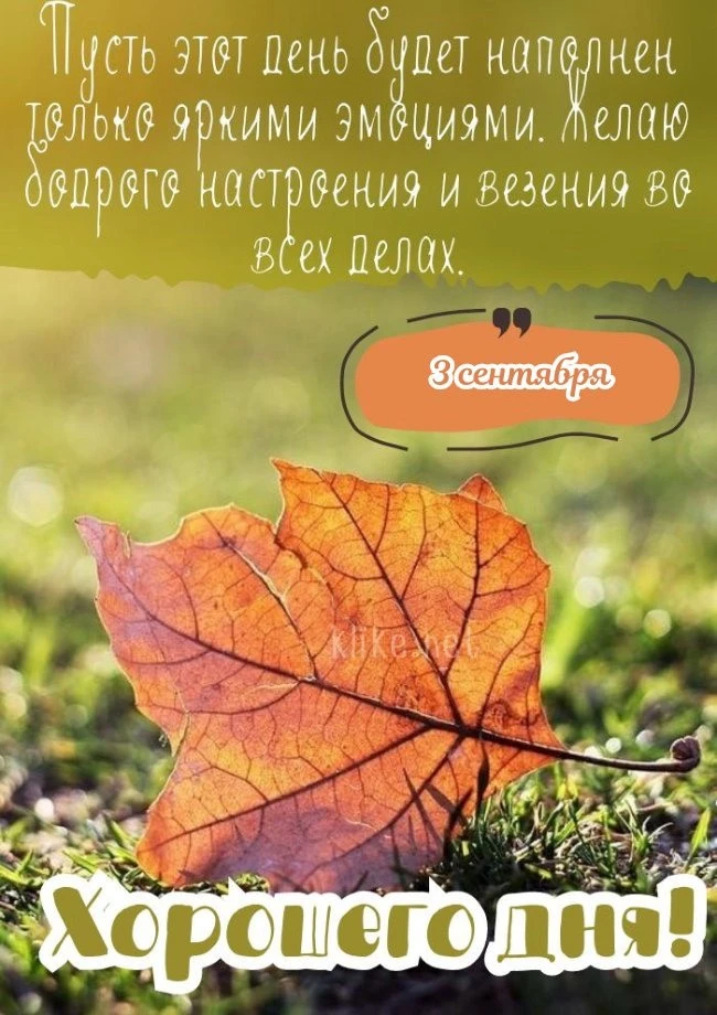🎁Поздравления и открытки