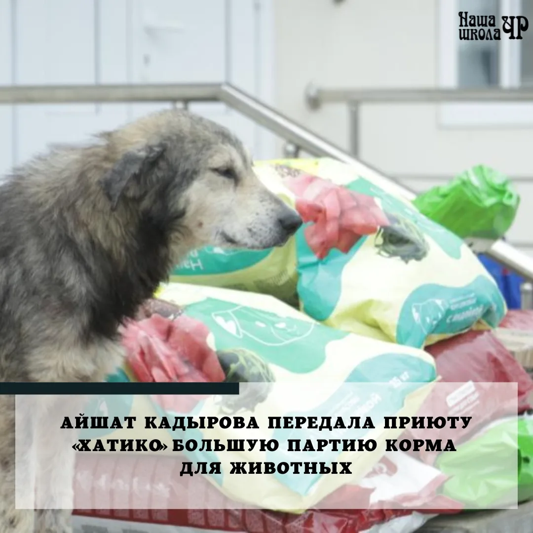 Предприниматель, общественный деятель, внучка Первого Президента Чеченской Республики, ...