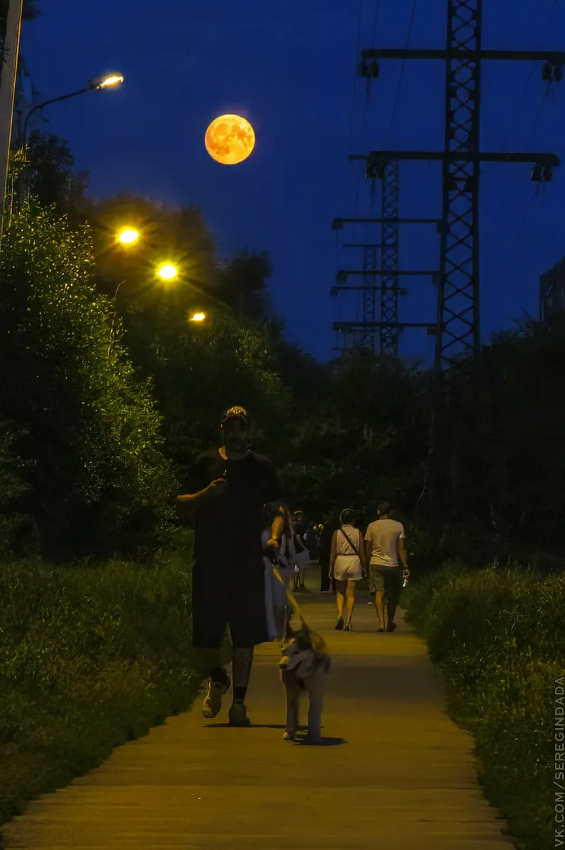🌖 Необычное полнолуние

Над ночным Омском взошла «Оленья Луна» — золотистое полнолуние в Козероге, 