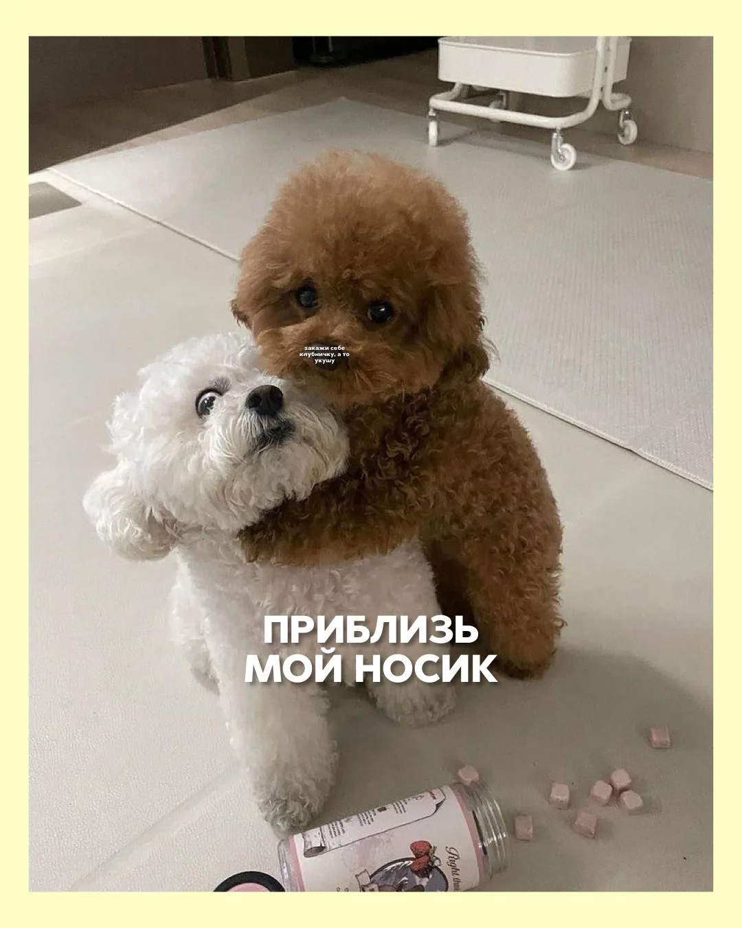 Лучше не шути 🫢