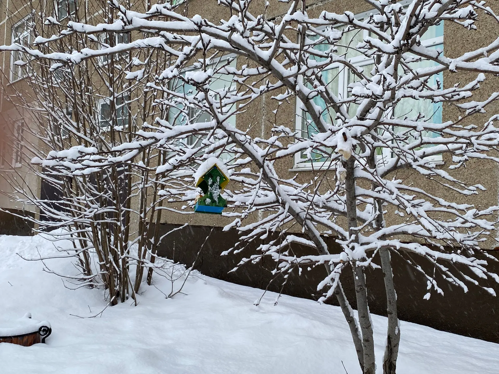 Доброго утра всем участникам школьного сообщества!  ❄️За окном — настоящая зимняя сказка. Интересно,