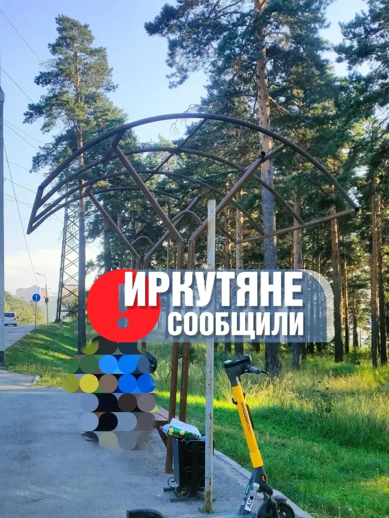 Еженедельно информирую о результатах работы с обращениями, которые я и мои коллеги увид...