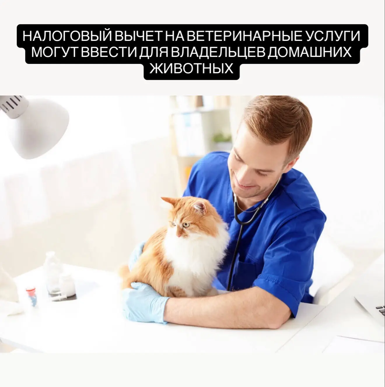 Налоговый вычет на ветеринарные услуги могут ввести для владельцев домашних животных. Соответствующ