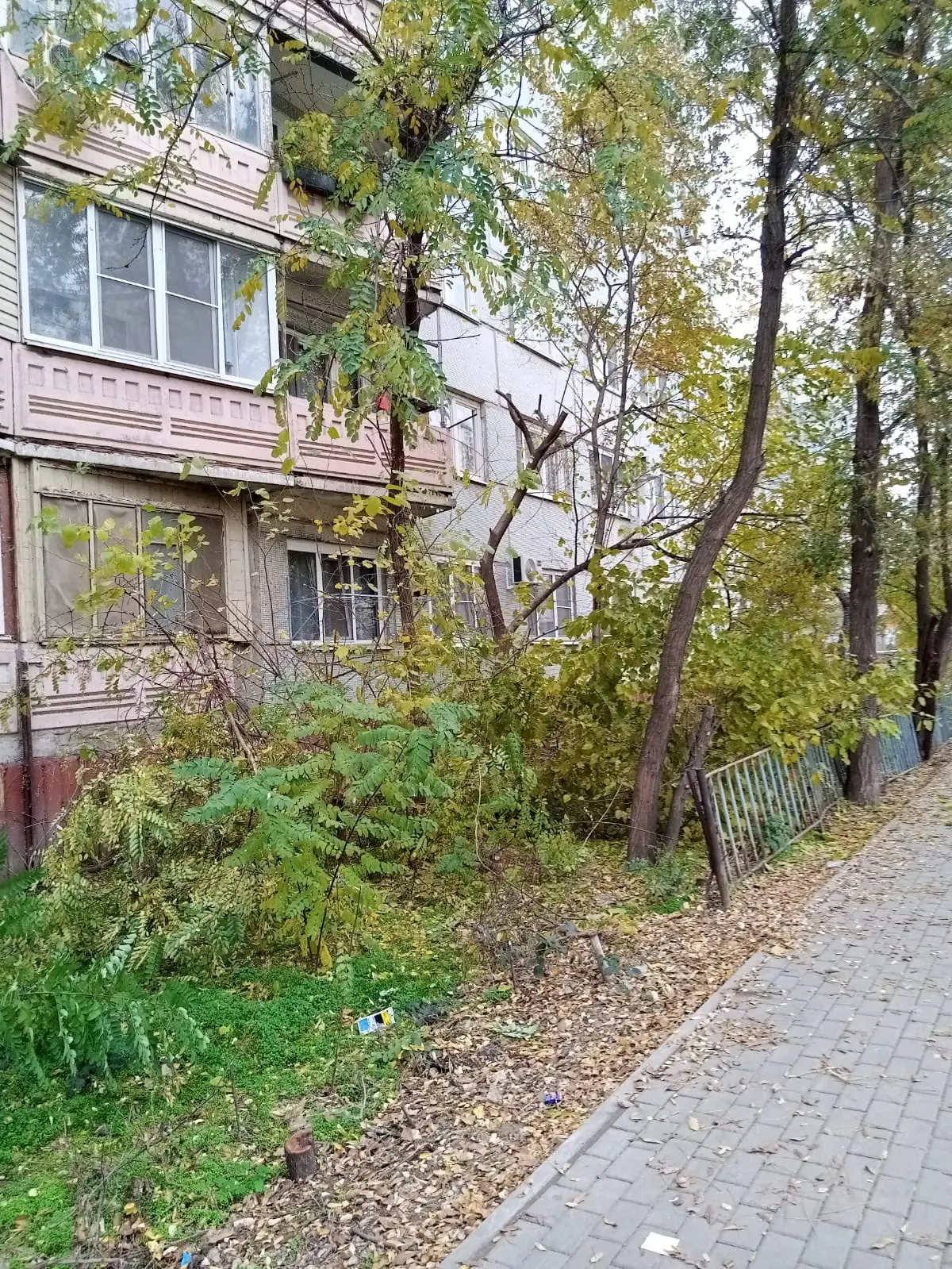🌳 Работы на придомовой территории  Команда УК «АЖС» провела опиловку деревьев на придомовой территор