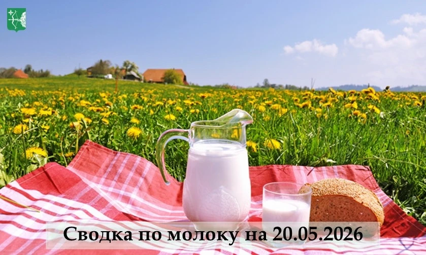 🥛 Сводка по молоку на 20.05.2026