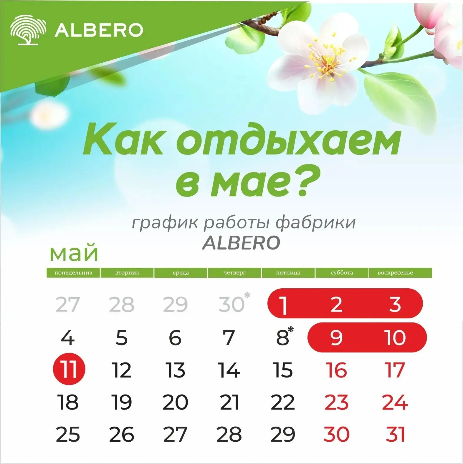 Майские праздники у ALBERO