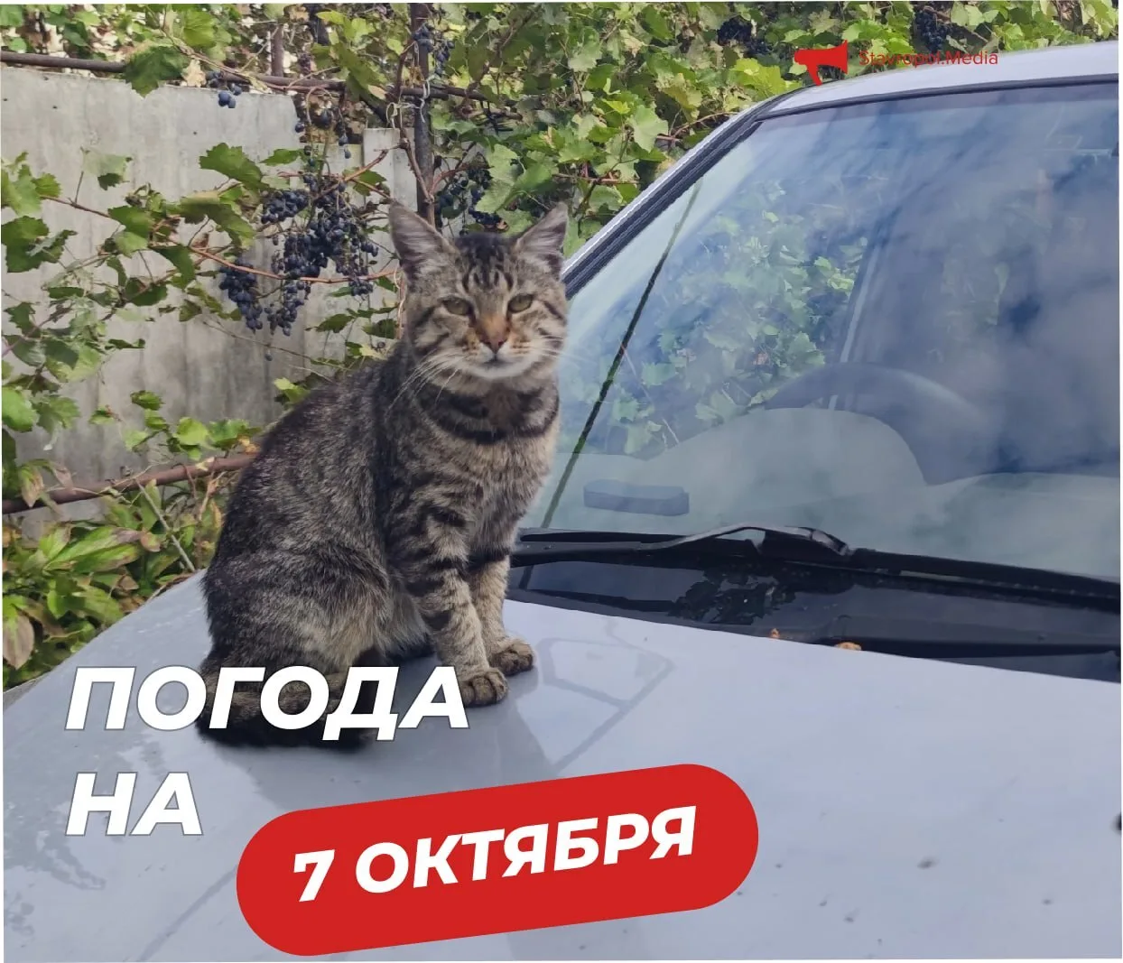ПОГОДА на сегодня в Ставрополе:
