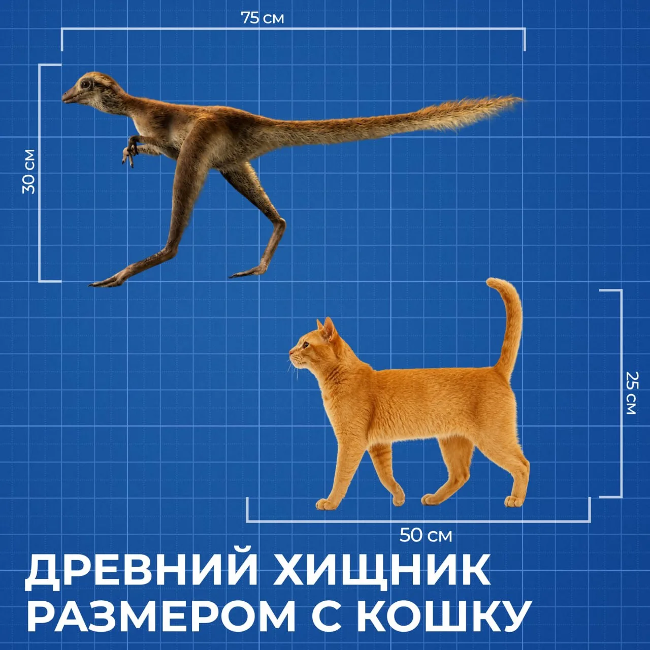 Хищник с первых дней