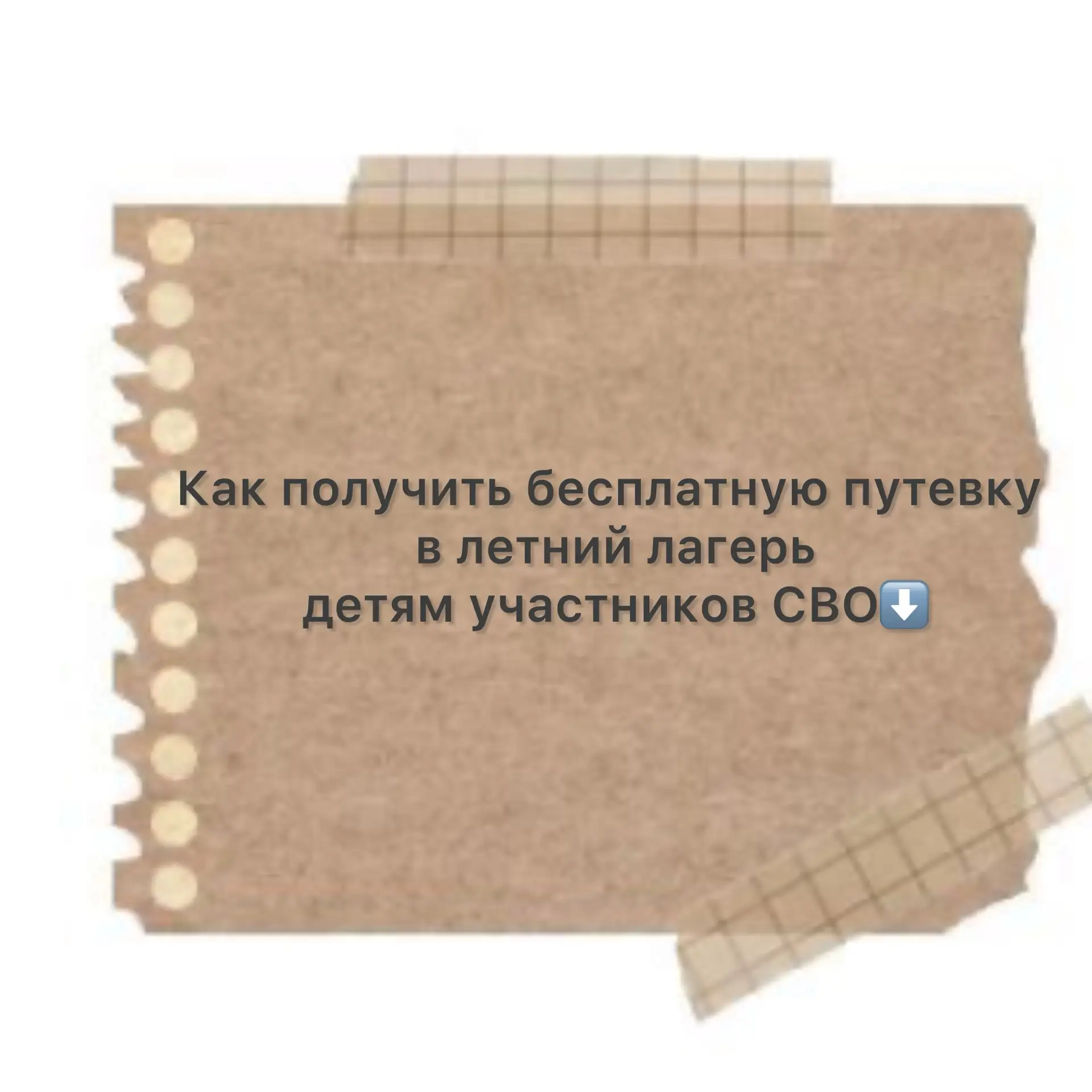 Как получить бесплатную путевку в летний лагерь детям участников СВО⬇️