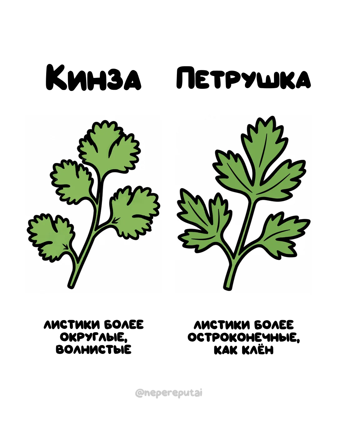 Одни обожают, другие плевать хотят. Буквально. 🤷‍♂️

Мы в МАХ