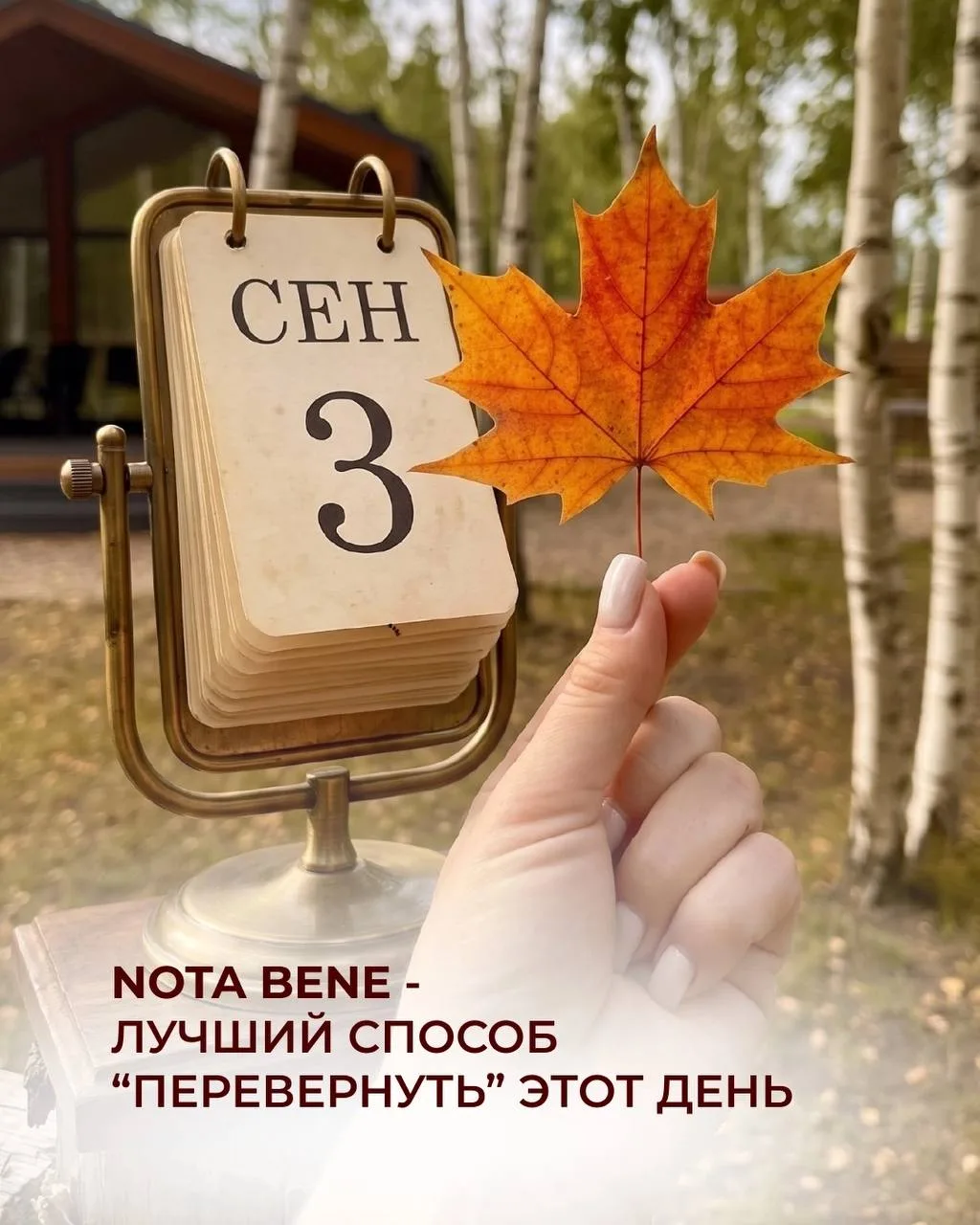 Ну что, уже пора переворачивать?