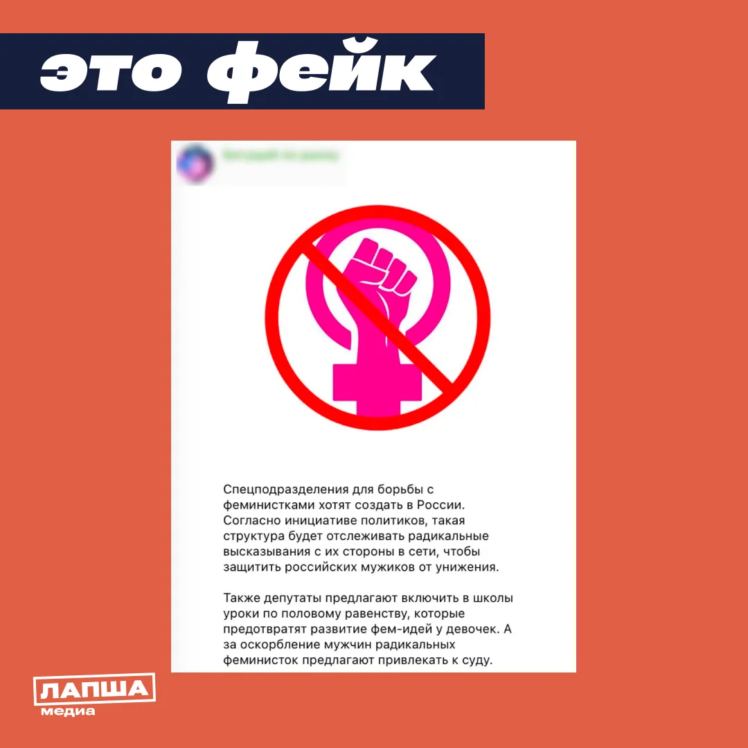 В соцсетях пишут, якобы в России хотят создать спецподразделения для борьбы с феминистками, а в школ