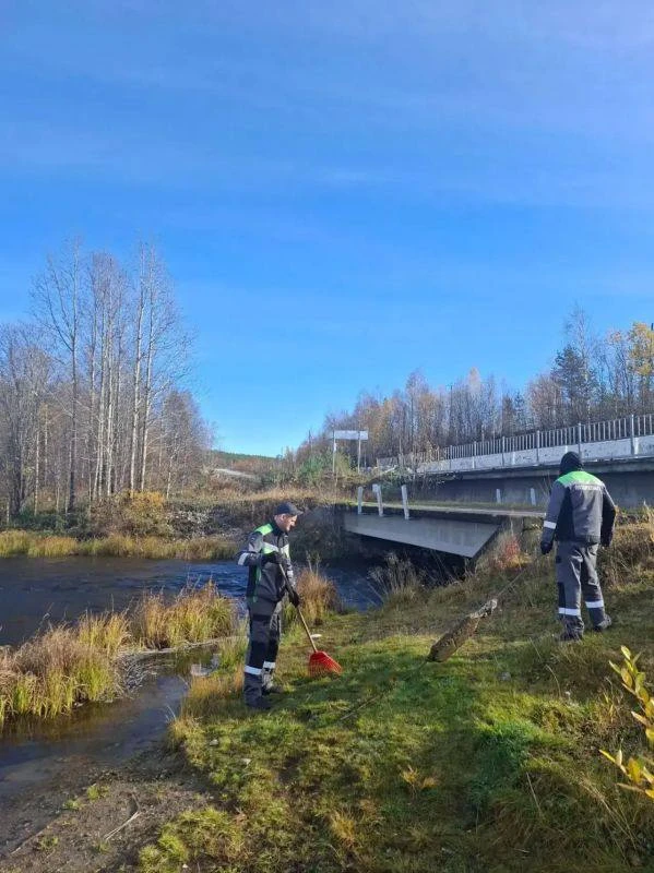 🌿 Берег озера возле пункта пропуска Борисоглебск очистили от мусора.