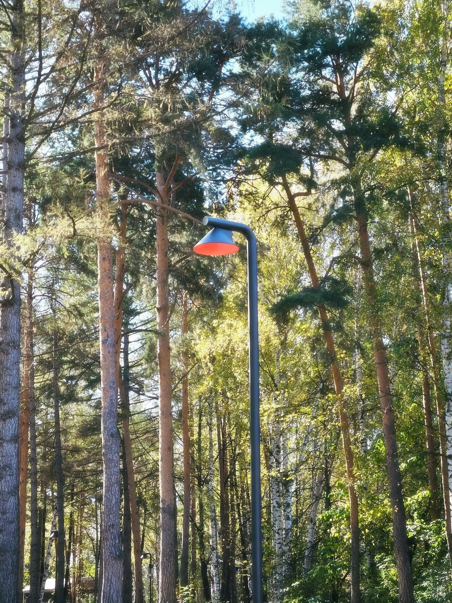 🌳 Радиальную аллею в Парке Маяковского почти доделали
