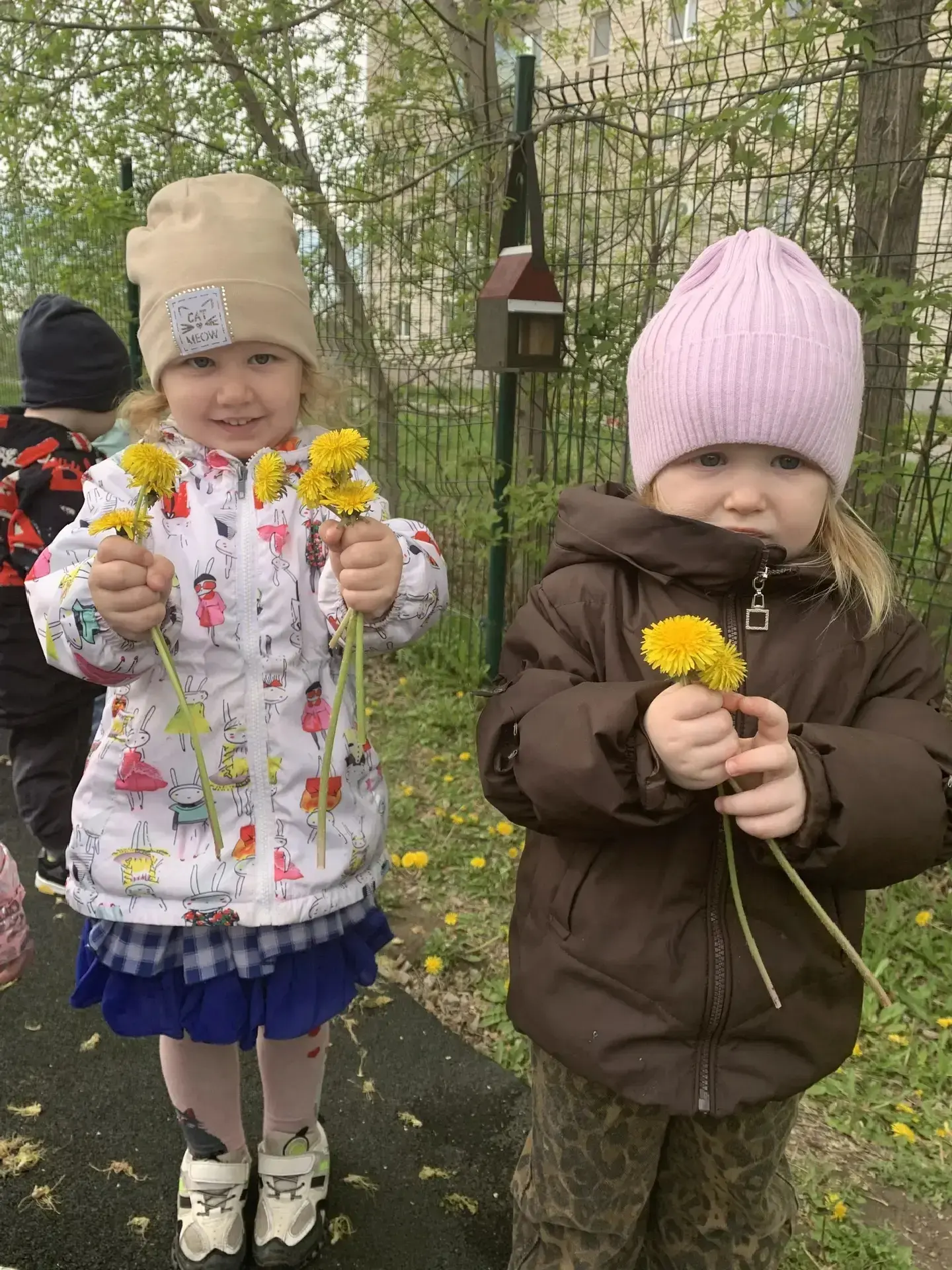 🌼 Сегодня на прогулке малыши из младшей группы познакомились с настоящим чудом природы — одуванчиком